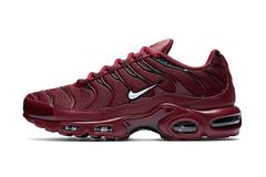 Nike Air Max Plus TN bordeaux