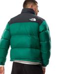 Зимняя куртка THE NORTH FACE 1996 RETRO NUPTSE green