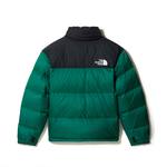 Зимняя куртка THE NORTH FACE 1996 RETRO NUPTSE green