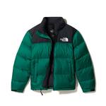 Зимняя куртка THE NORTH FACE 1996 RETRO NUPTSE green