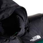 Зимняя куртка THE NORTH FACE 1996 RETRO NUPTSE green