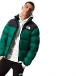 Зимняя куртка THE NORTH FACE 1996 RETRO NUPTSE green