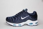 Nike Air Max Plus SE Navy/White