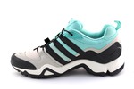 Adidas Terrex SwiftR GTX Beige/Mint