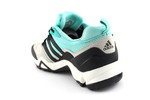 Adidas Terrex SwiftR GTX Beige/Mint