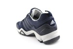 Adidas Terrex SwiftR GTX Navy