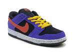 Nike Dunk SB low "ACG Terra"