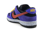 Nike Dunk SB low "ACG Terra"