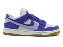 Nike SB Dunk Low Purple/White