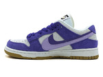 Nike SB Dunk Low Purple/White