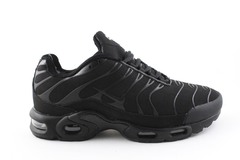 Nike Air Max Plus TN Black (с мехом) 