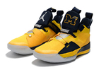 Air Jordan 33 Michigan PE Yellow Navy Blue