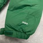 Зимняя куртка The North Face 700 green