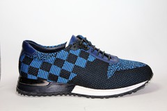 Louis Vuitton Run Away Sneaker Blue